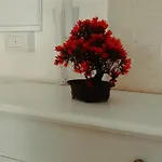 Appartement Naxos Sweet Dreams