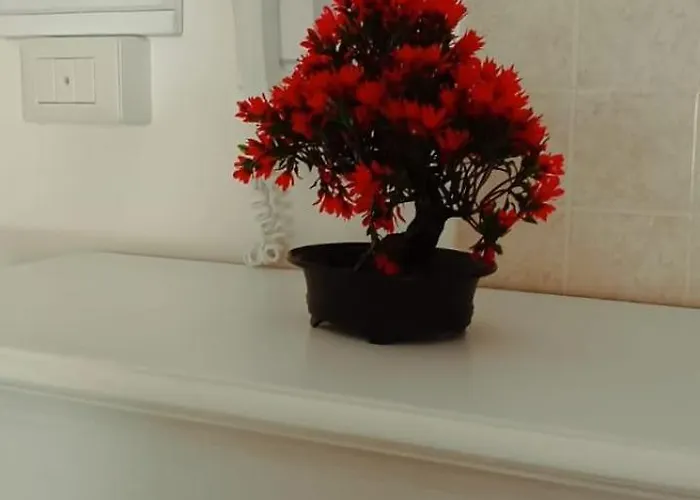 アパート Naxos Sweet Dreams